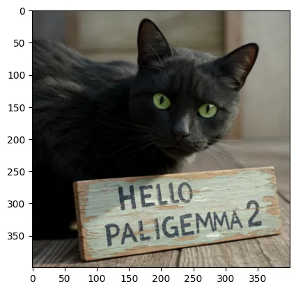 Cat input
