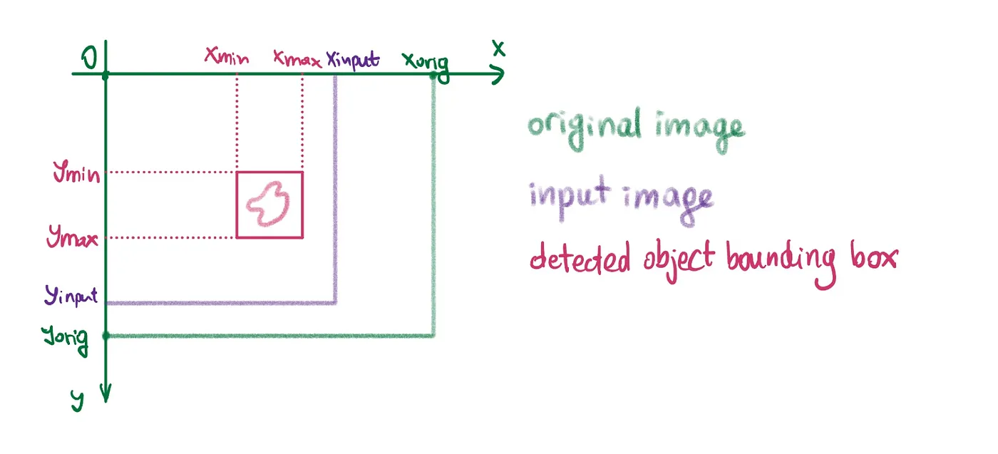 Model input and bounding box