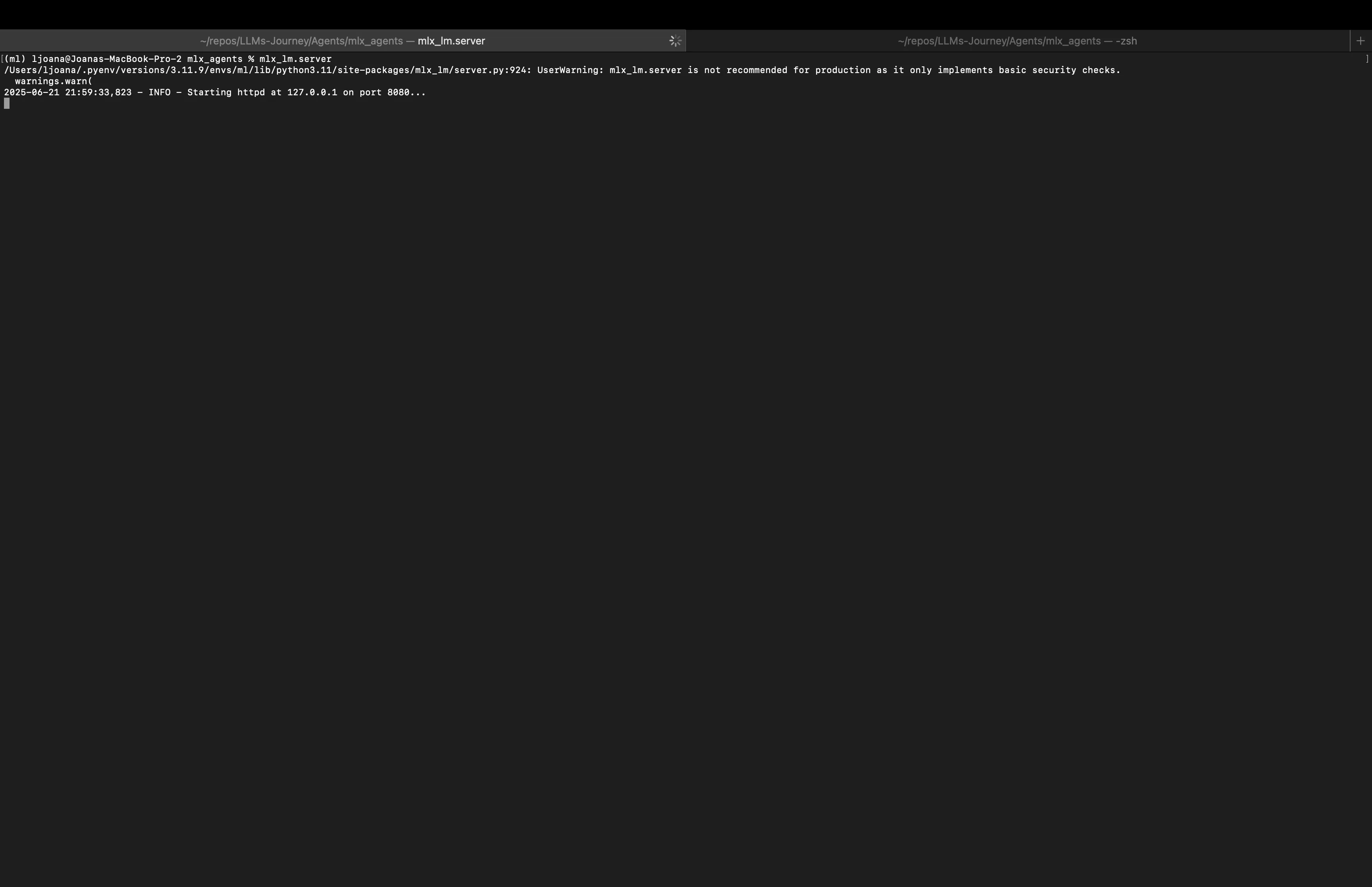 Start mlx server